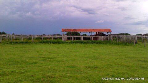 FAZENDA A VENDA EM CORUMBÁ - MS (Pecuária) - Foto 4