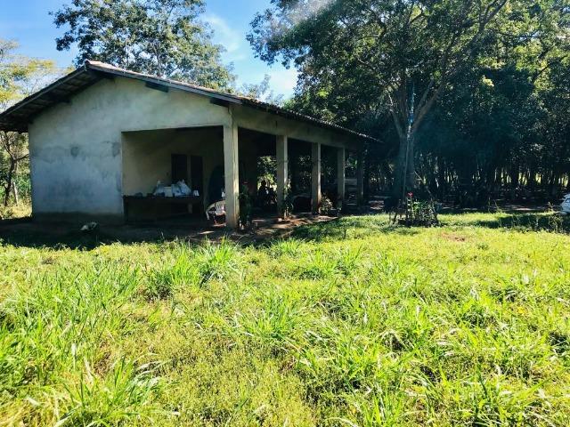 Vendo Chácara no Distrito de Santa Antonio (agende sua visita) Aceito Troca em imovel - Foto 7