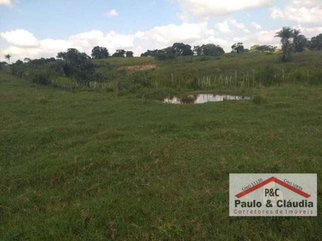 Ótima propriedade em Feira Nova, com 4 hectares