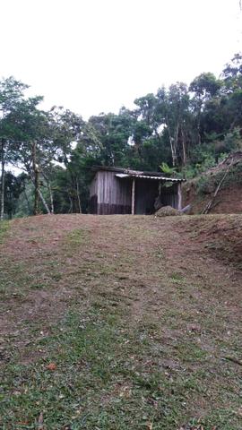Chácara - Foto 3