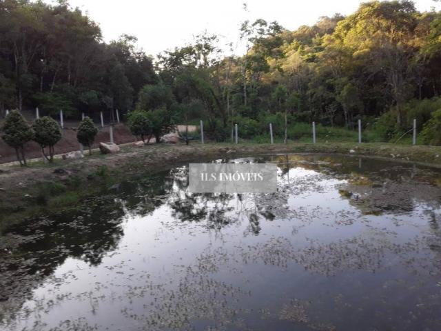 Chácara em mandirituba - Foto 15