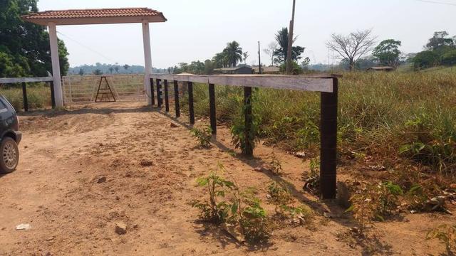 Terreno - Foto 6