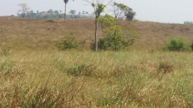 Terreno - Foto 5