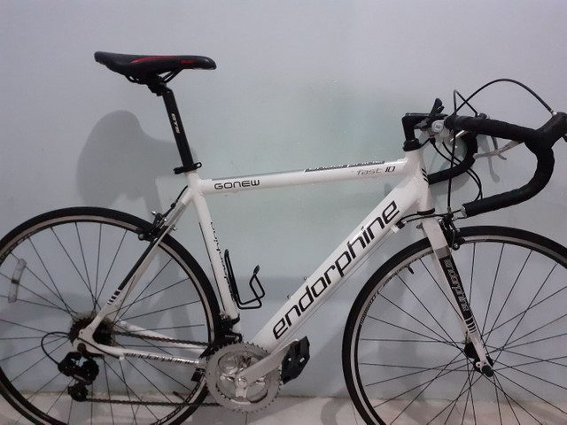 bike speed endorphine