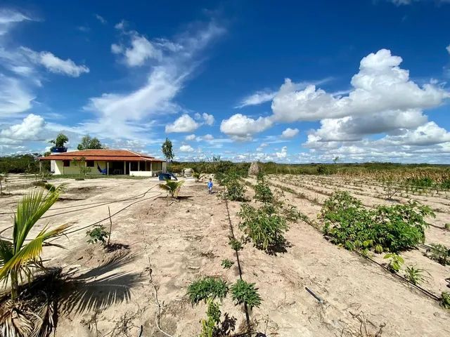 Sitio em Morro de Chapeu  - Foto 2