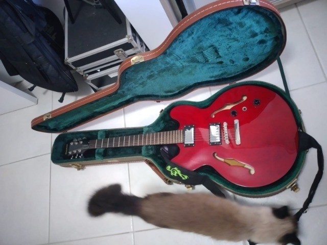 es 335 epiphone