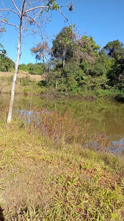 Chacara em Anapolis Chácara à Venda, 67920 por R$ 1.500.000 AD22598 - Foto 4