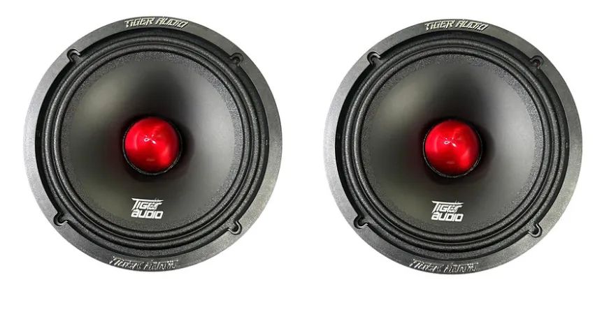 LAURENCE ARCHER TIGERTAILZ STRYPER まとめ売り par Alto Falante Tiger Áudio 300mg-6 6 Polegadas 04 ohms 300 W Rms