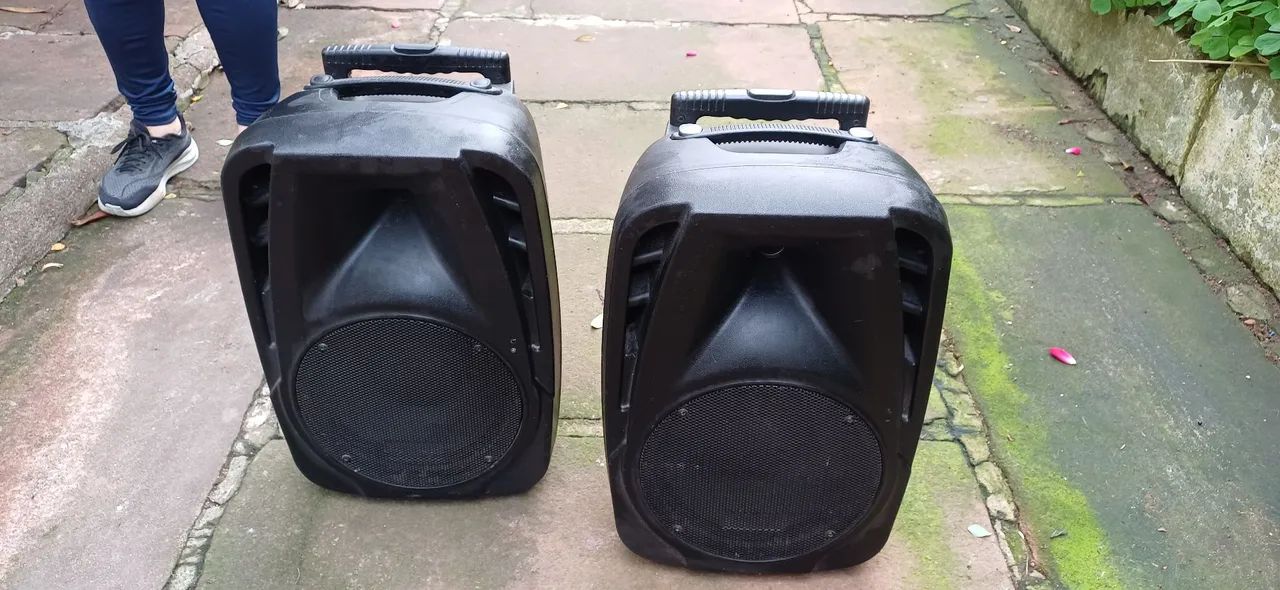 Par de caixas 10 polegadas passivas (par)