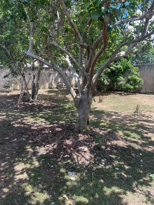 Vende-se terreno no bairro José Maria Dourado ( bairro da Brahma ) - Foto 2