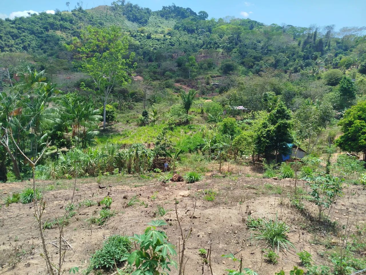 Chácara com Poço e energia  - Foto 10