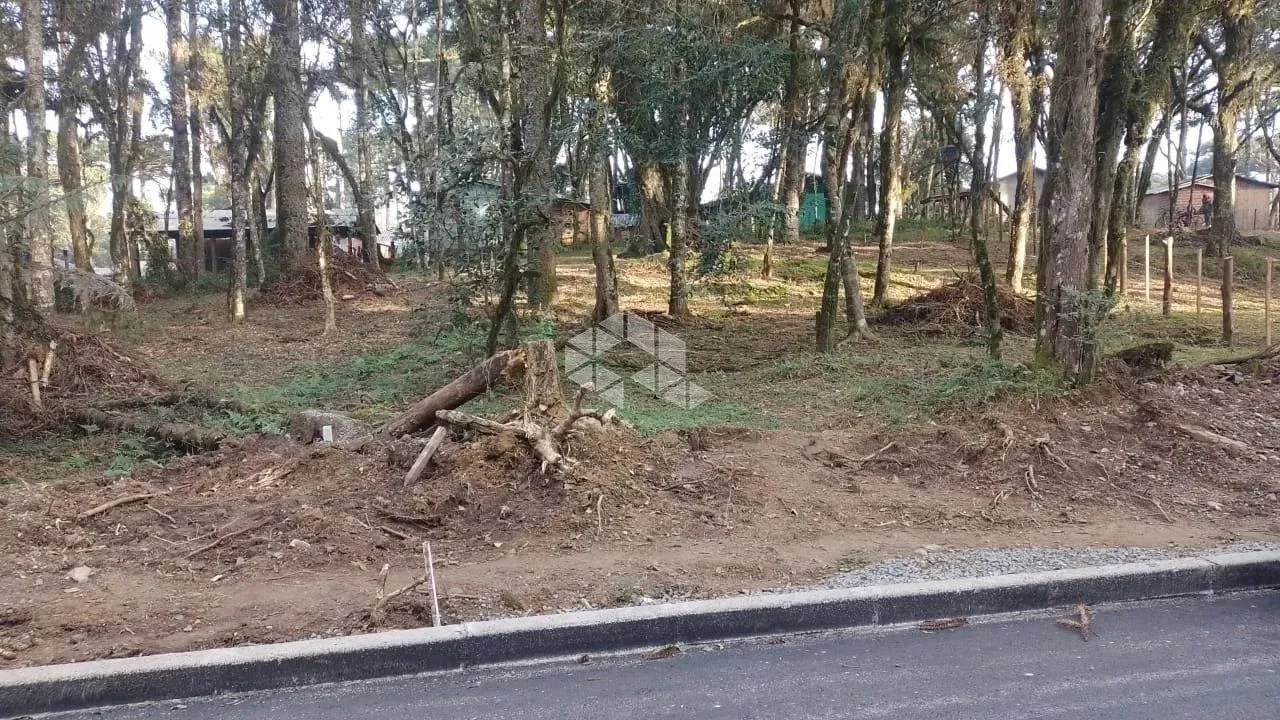 Terreno 427,67m², localizado no bairro são luis , canela