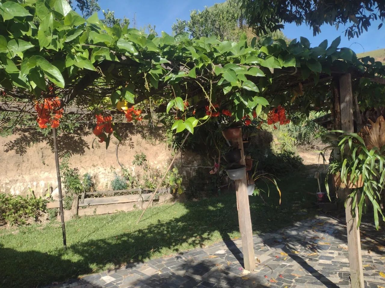 Sítio com casa e área verde em região tranquila - Foto 3
