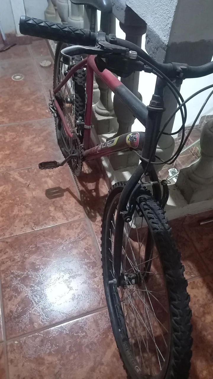 Bicicleta ZTS