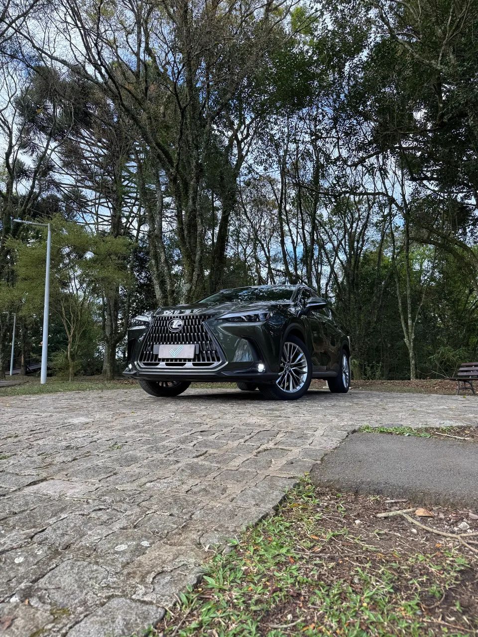 Lexus NX-350h Luxury 2.5 16V Aut. (hybrid), foto 11 de 20