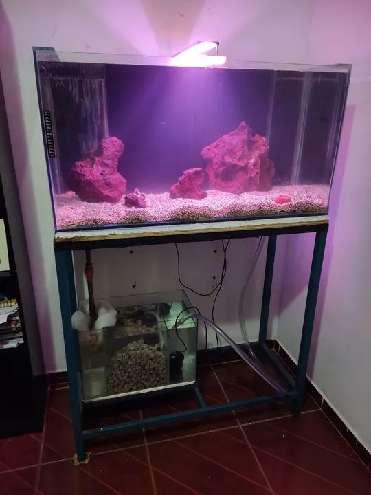 Aquário 200 litros completo  - Foto 4