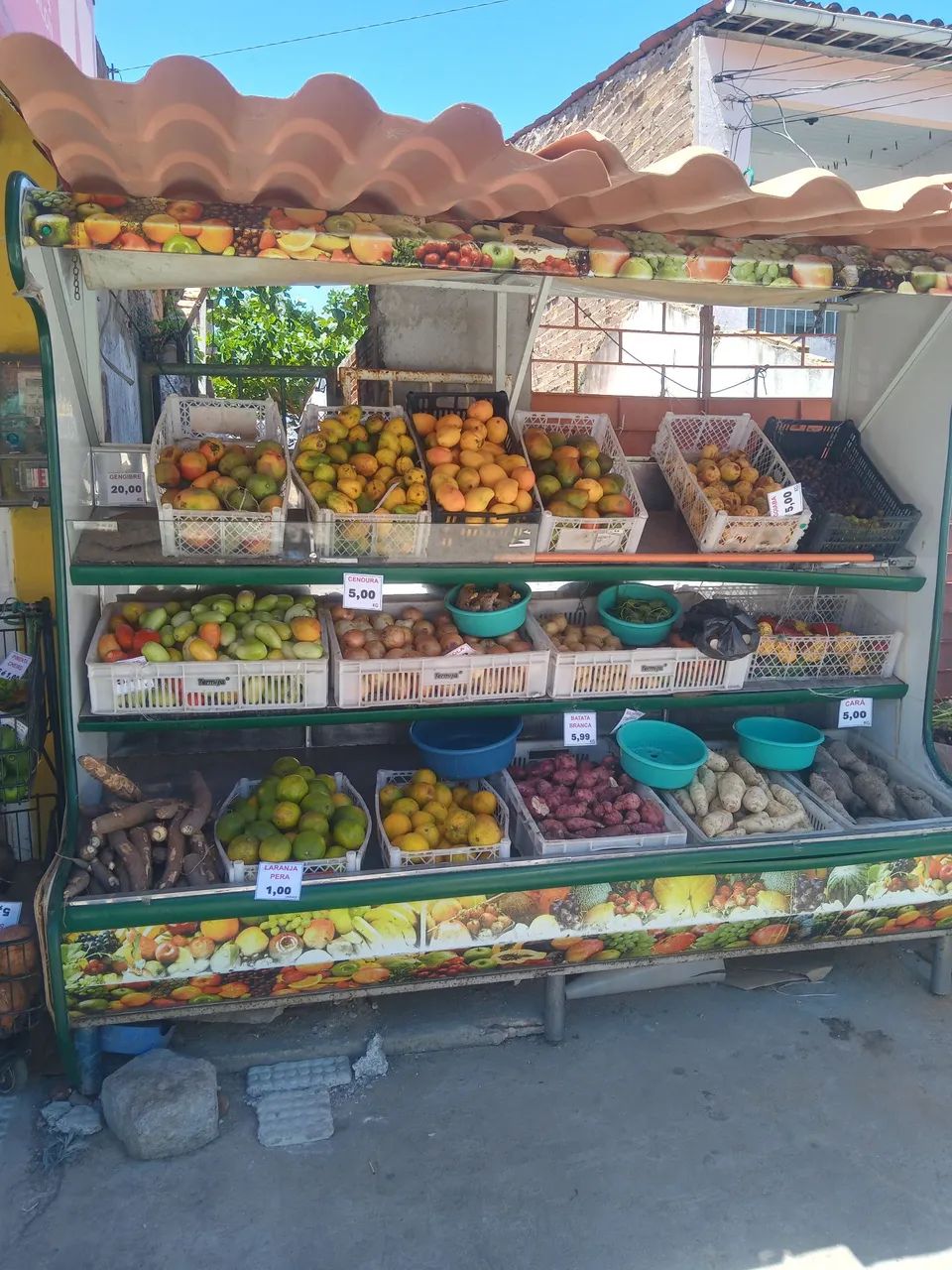 Expositor de Frutas e Verduras