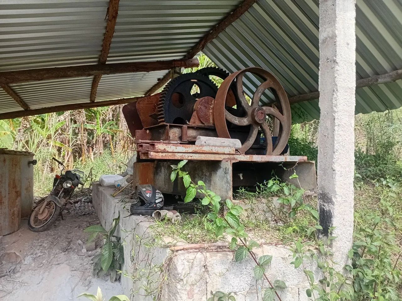 Engenho cana de açúcar 64304159079042125
