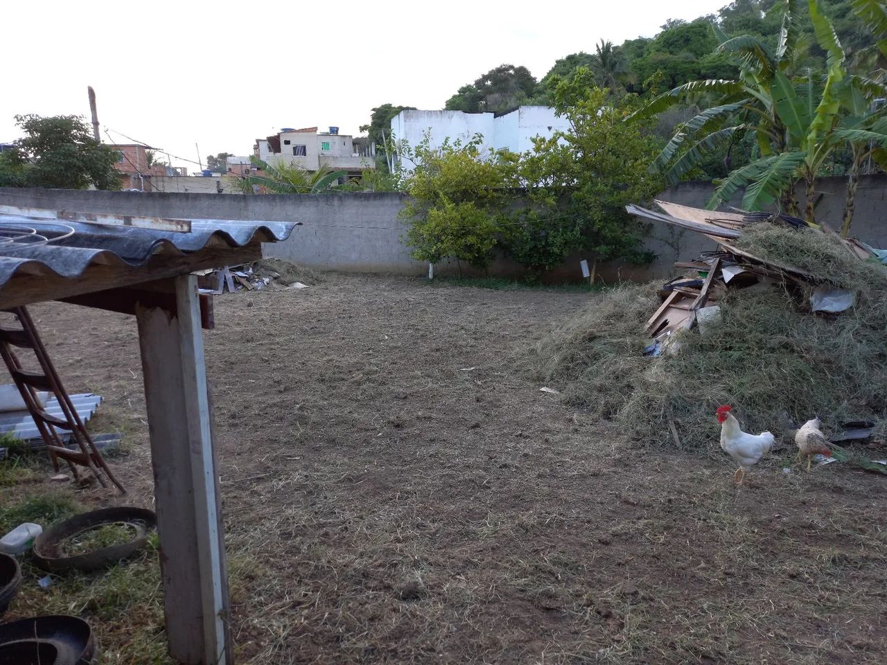 Terreno em paciência  - Foto 2