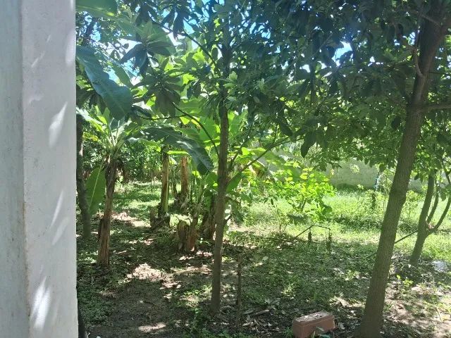 Vendo Terreno em Boa Esperança - Seropedica - Foto 2