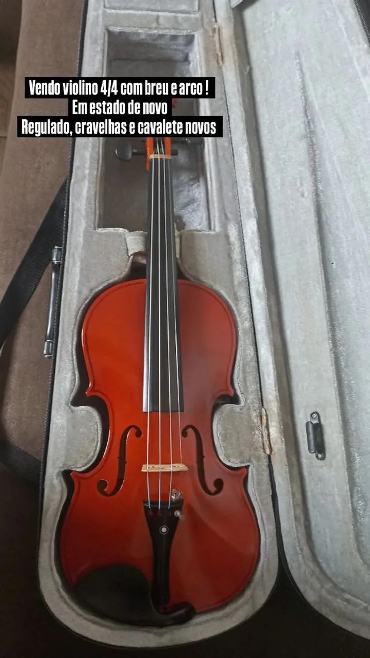 Violino 4/4 
