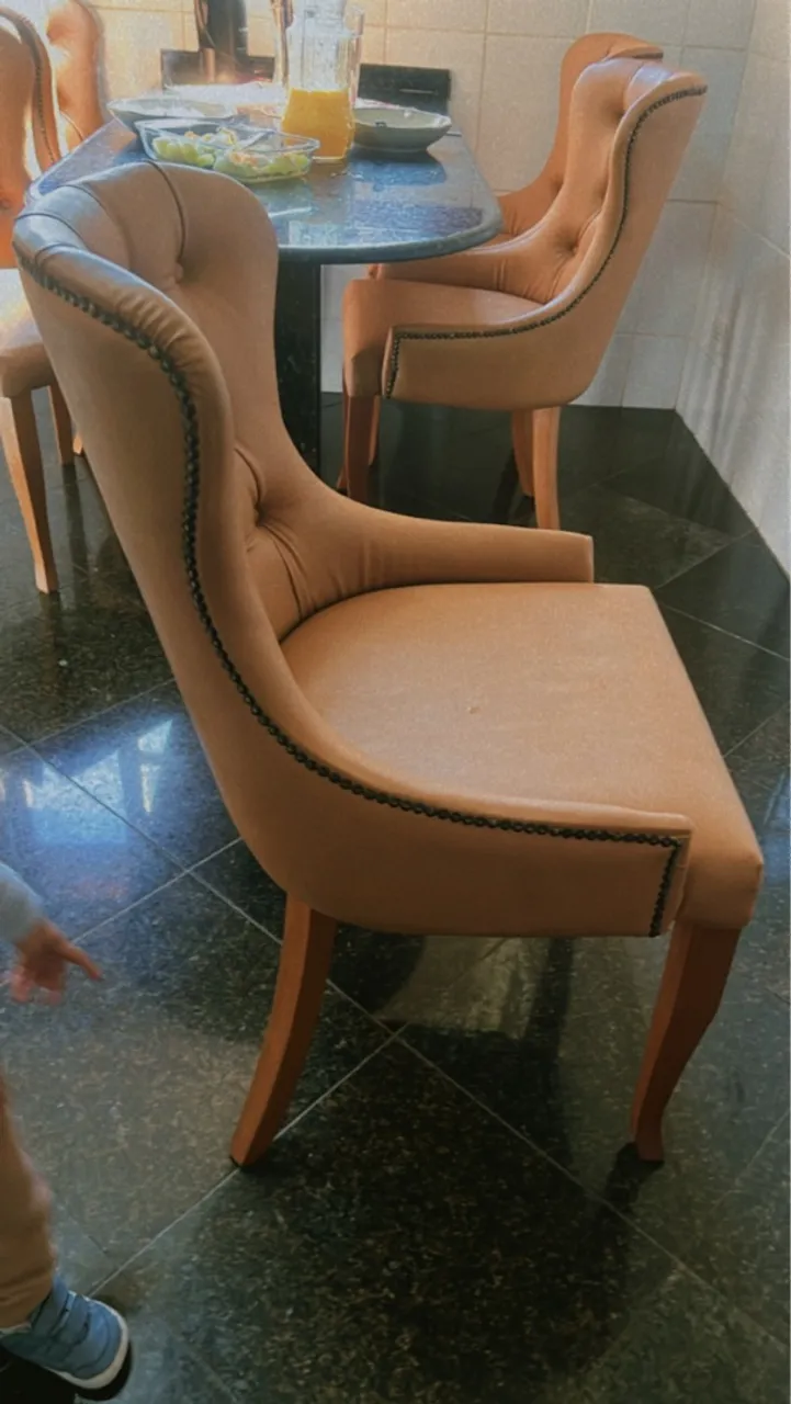 Cadeiras de Jantar Elegantes com Design Clássico