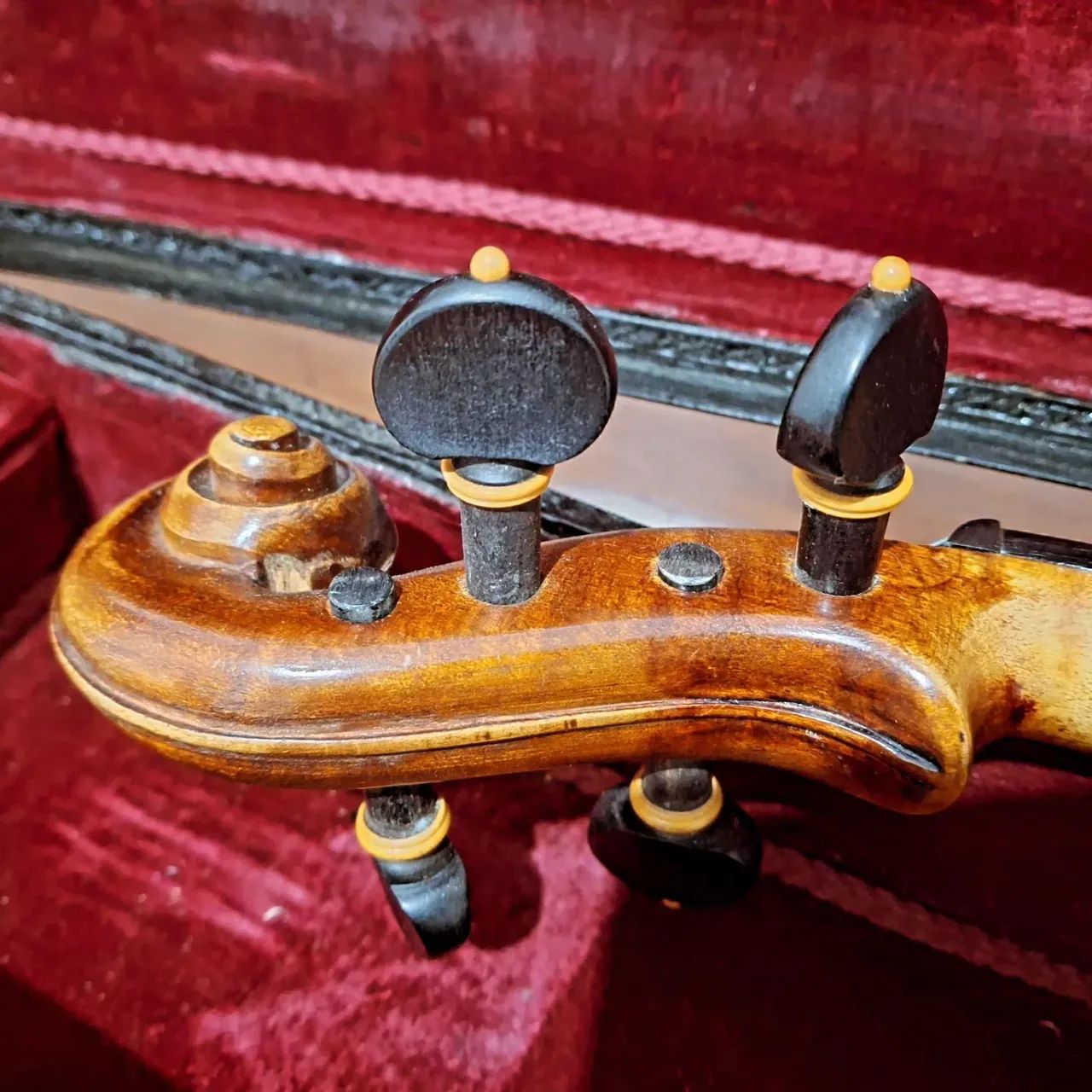 Violino Rigat Rubus - Foto 4