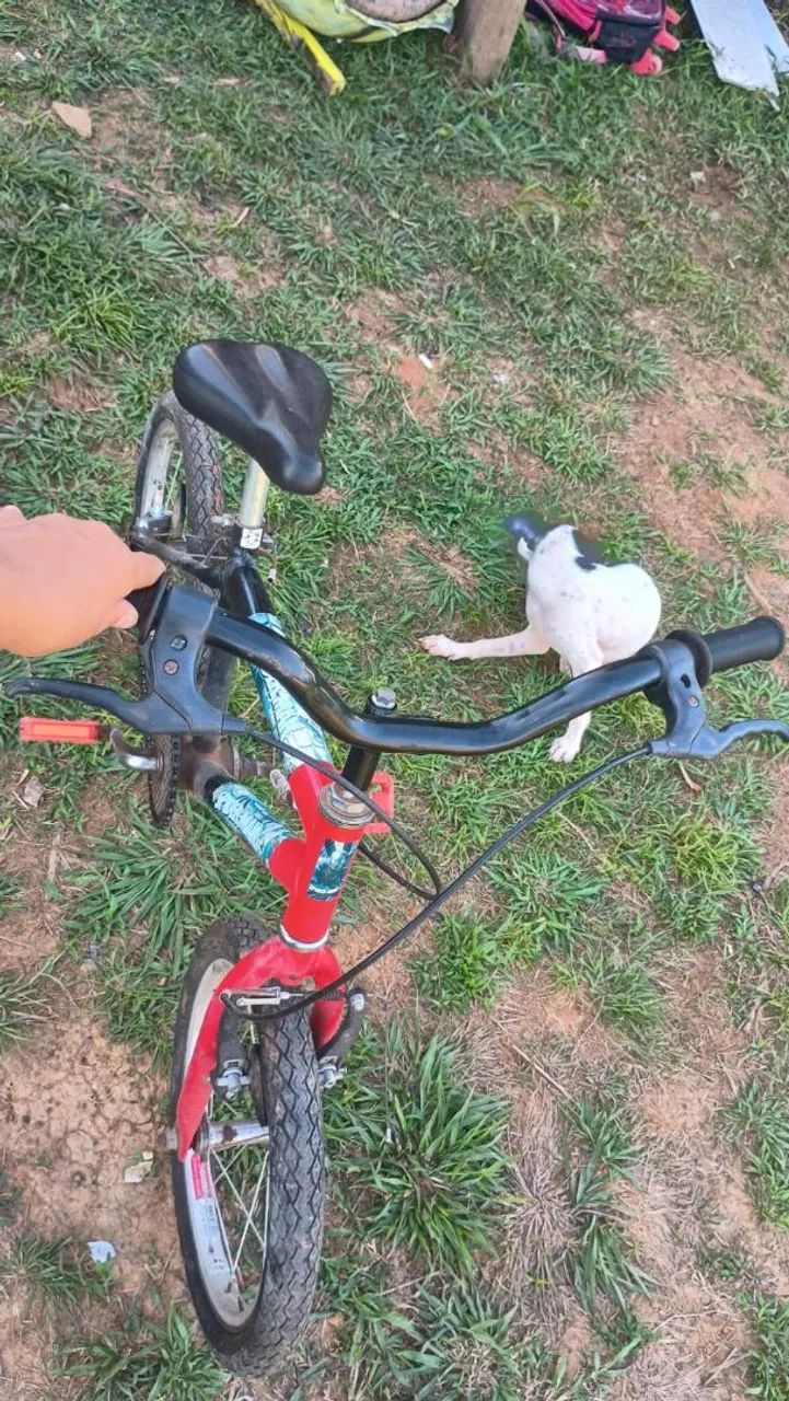 Bicicleta Infantil Spider-Man Aro 14 - Foto 3