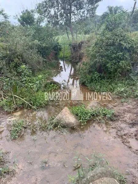 Barrozo Imóveis - Sítio a venda com 2.02 alq (9.8 ha) com córrego, nascente, pasto. - Foto 6