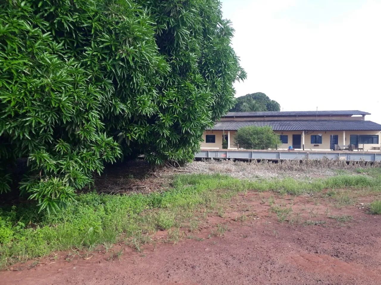 Fazenda 986 Alqueires, 227 Alqueires em Área Plantada, 206 Alqueires em Pastagem, Casas Se - Foto 5