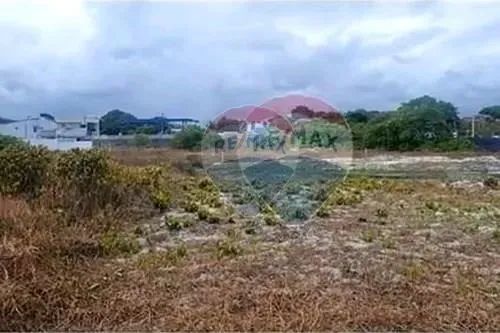 Vendo Terreno em Carneiros 12x45m² - R$500 mil - Foto 3