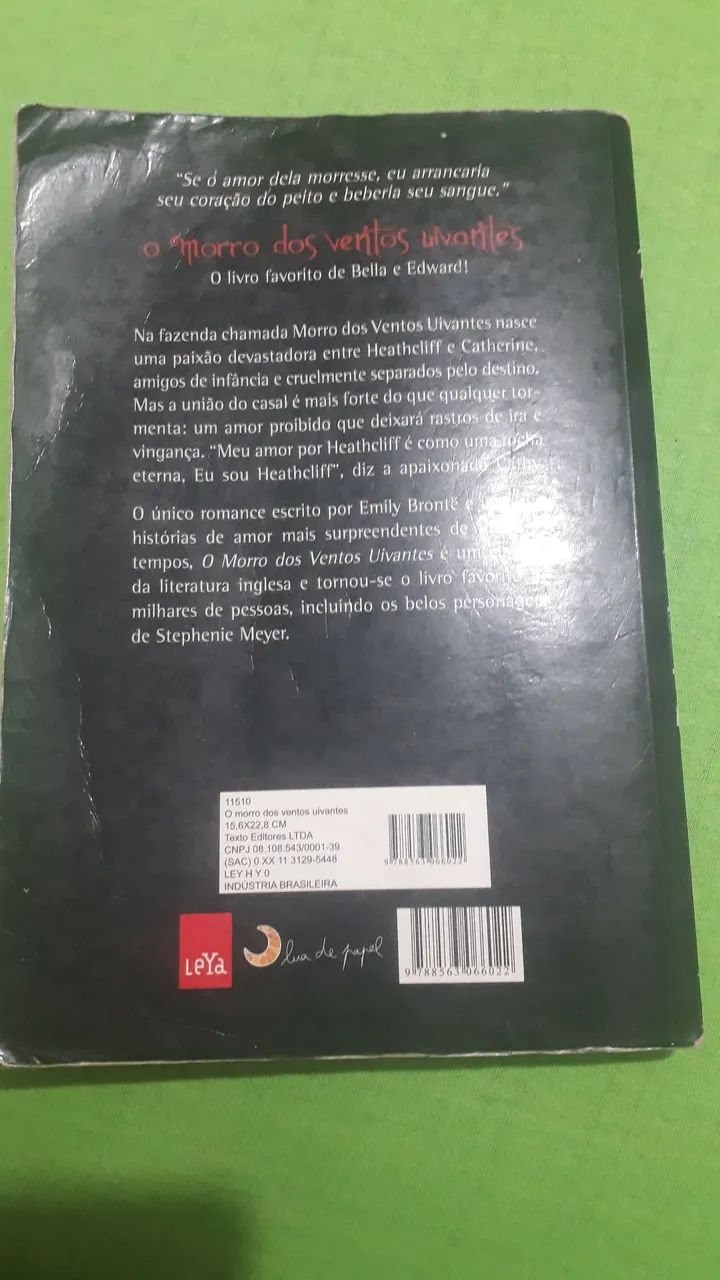 Emily Brontë - O Morro dos Ventos Uivantes - Foto 2
