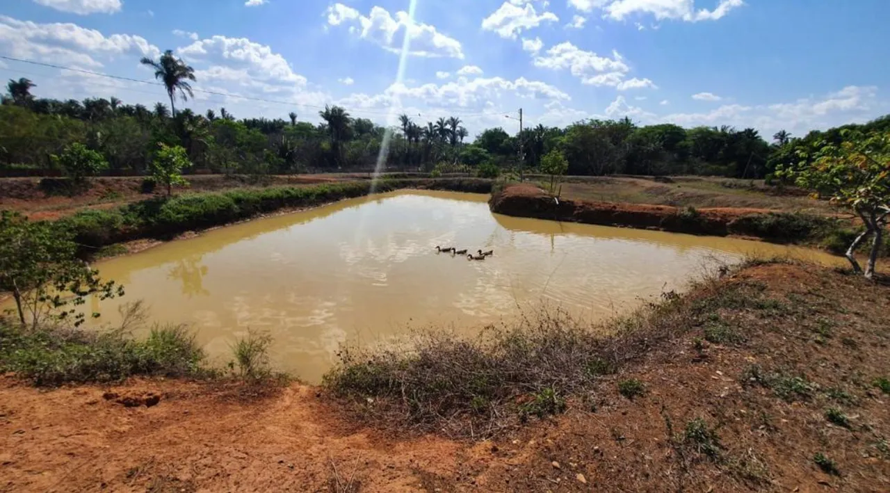 Vendo aceito proposta
