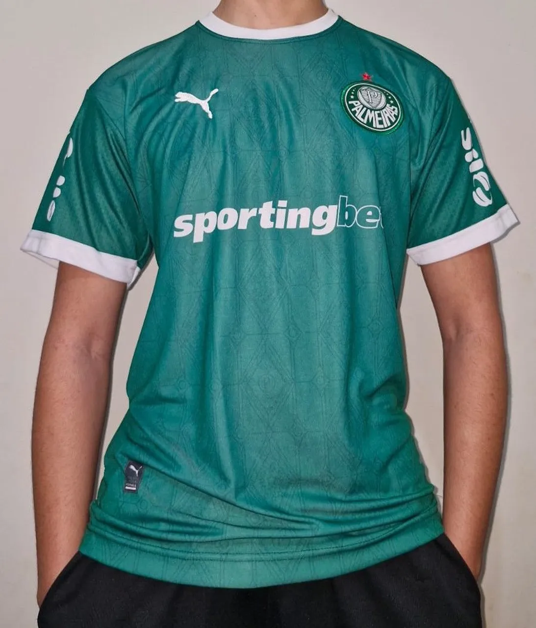 Camisa Palmeiras Puma Verde - Sportingbet