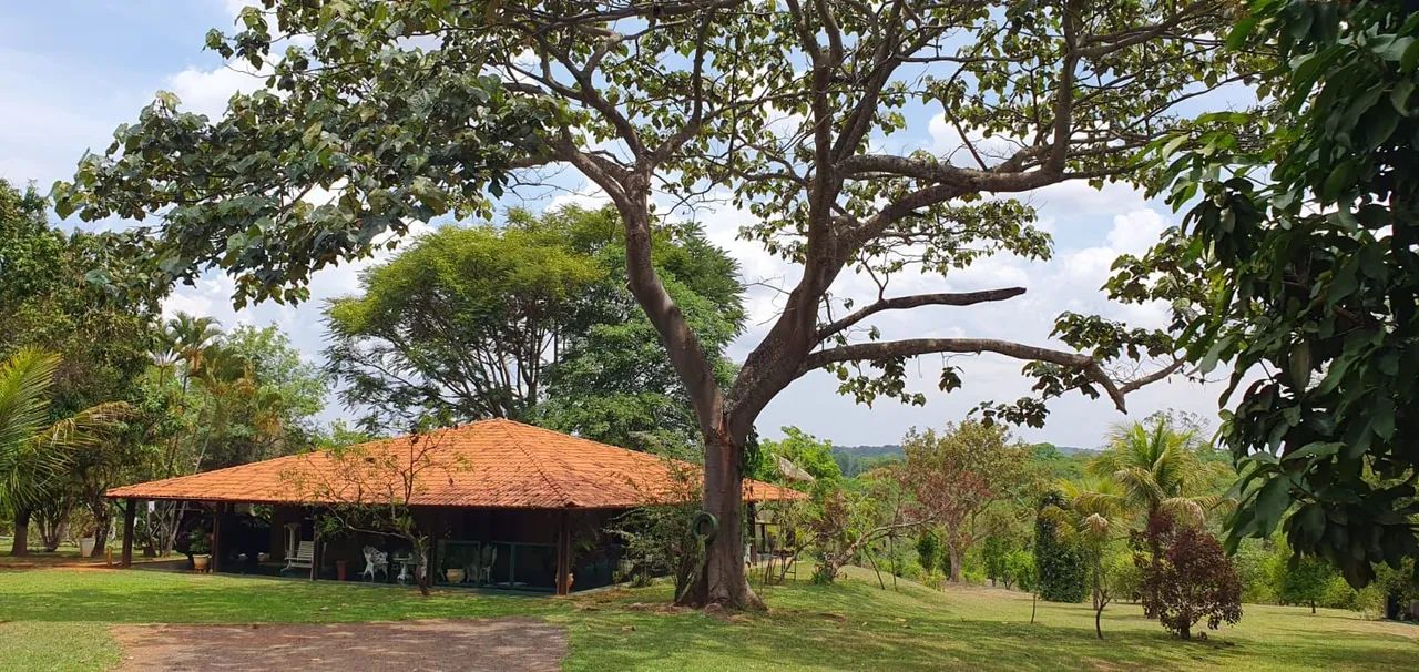 Duas chacaras juntas , área total 5,2 ha .DF 140 , próximo ao Alphaville/Jardim ABC - Foto 2