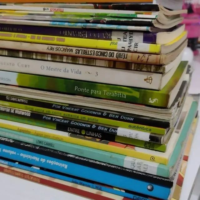 Lote de Livros Diversos Infantil e Juvenil