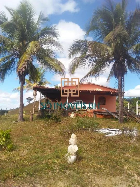 FAZENDA A VENDA NO MUNICÍPIO DE TEÓFILO OTONI !!