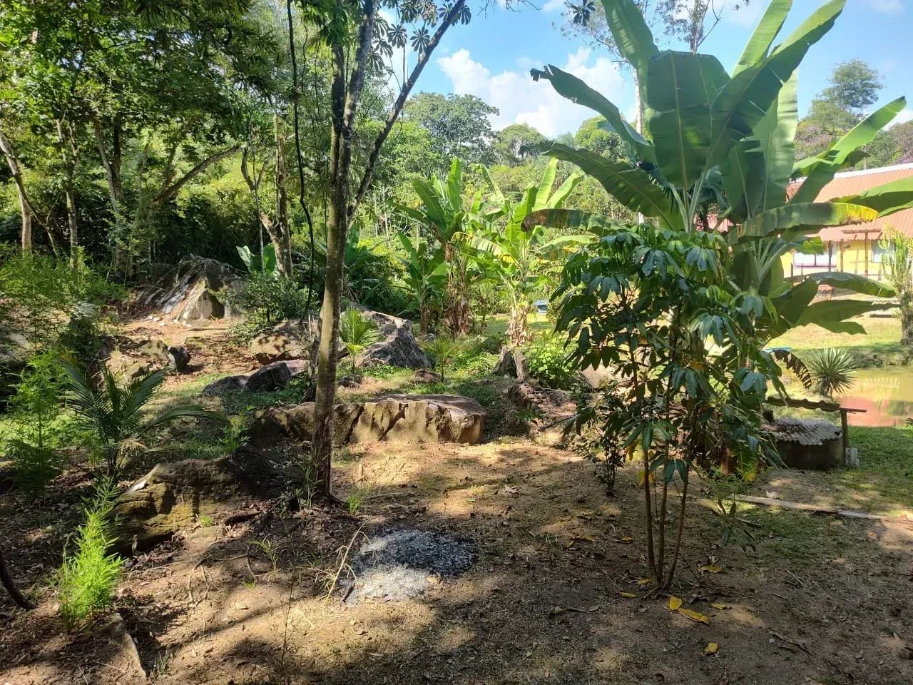 Sítio a venda TINGUÁ estrada da Serra - Foto 4