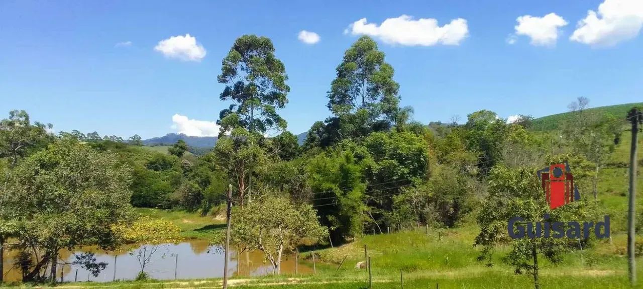 Sitio Em Lagoinha com 2 Alqueires - Foto 3