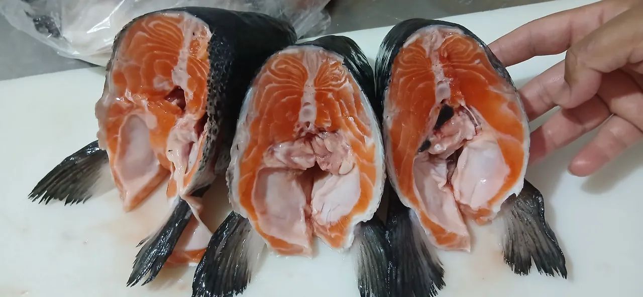 Cabeças de salmão frecas