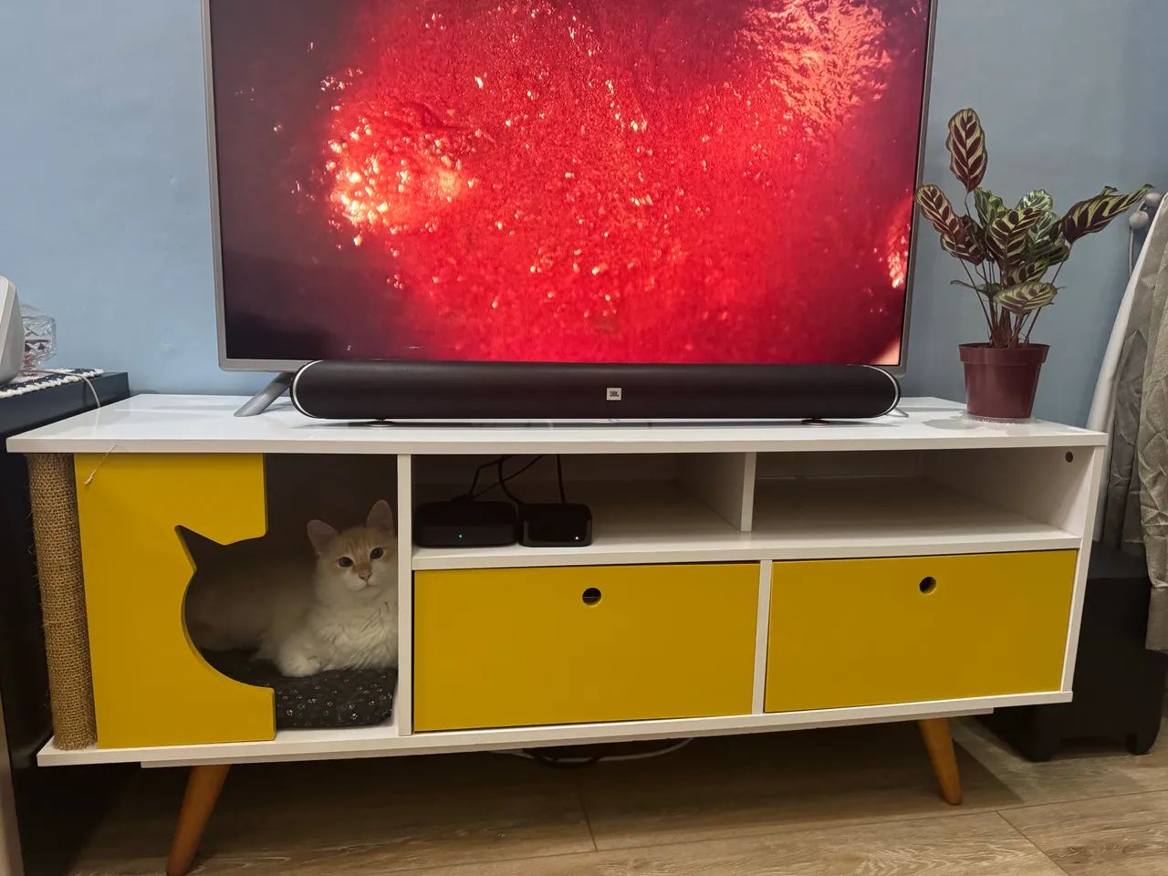 Rack para tv - pet - Foto 4