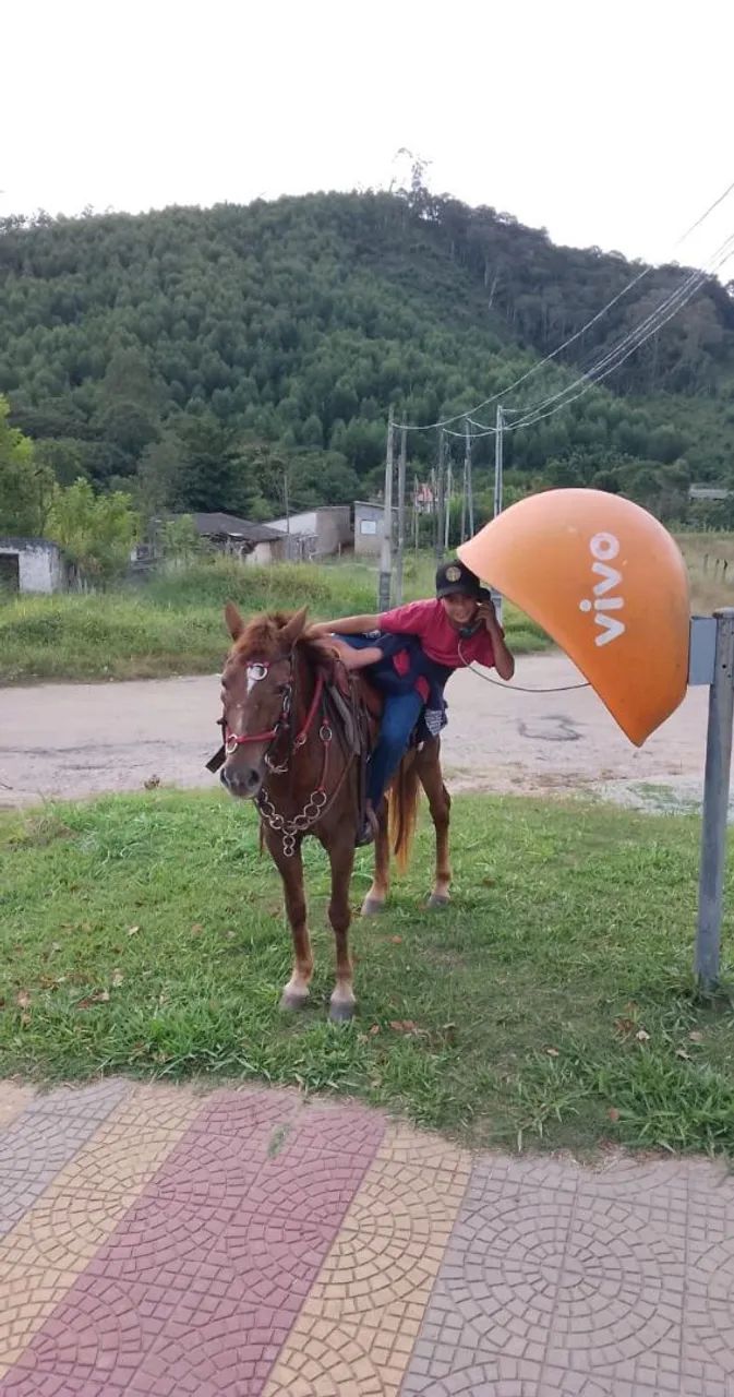 Vendo égua marcha picada  - Foto 2