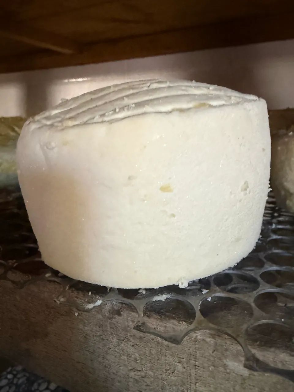 Queijo curado salmoura