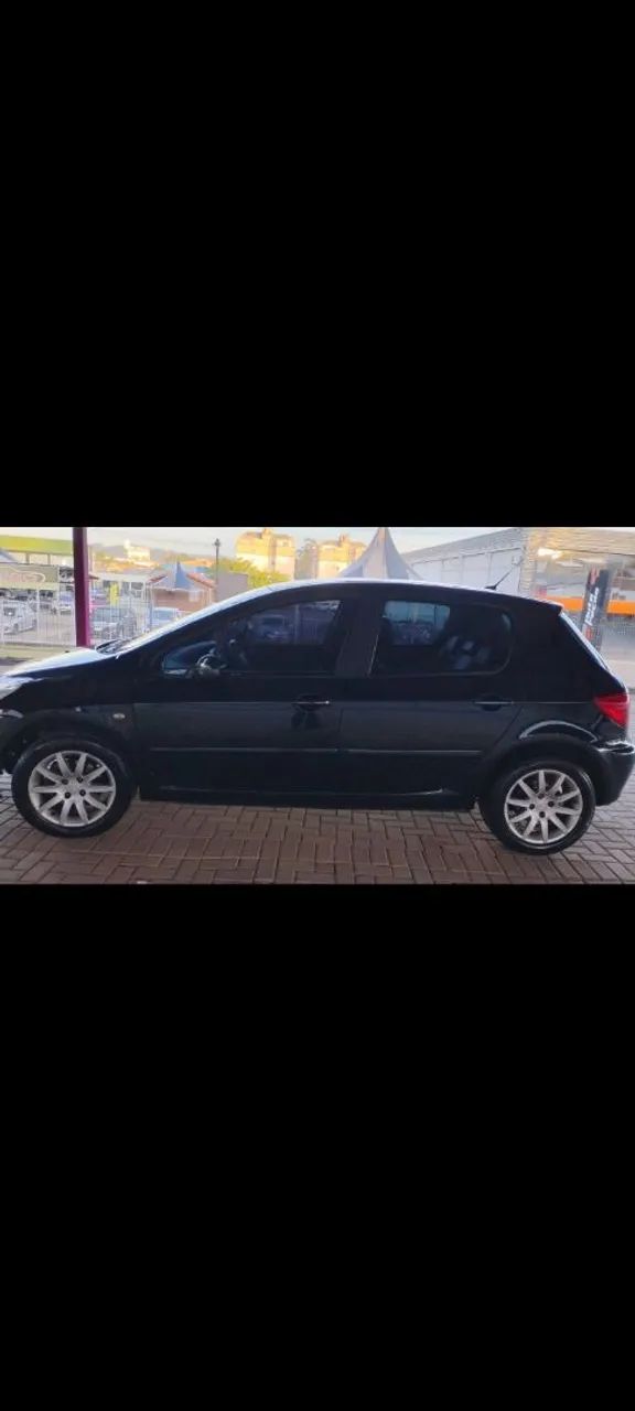 Peugeot 307 307 Feline 2.0/2.0 Flex 16V 5p Mec. 2008