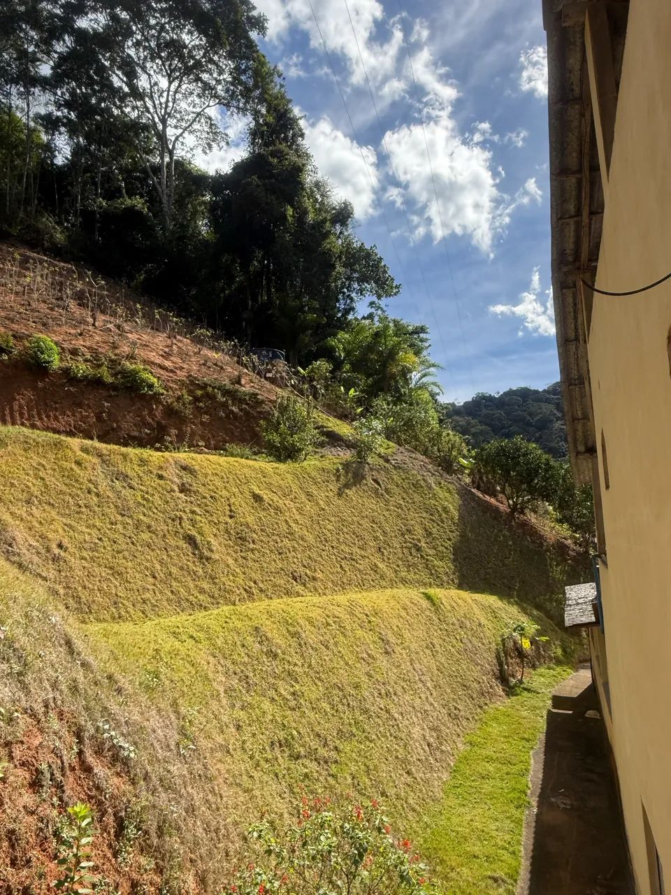 SÍTIO SANTA LEOPOLDINA - OPORTUNIDADE  - Foto 4