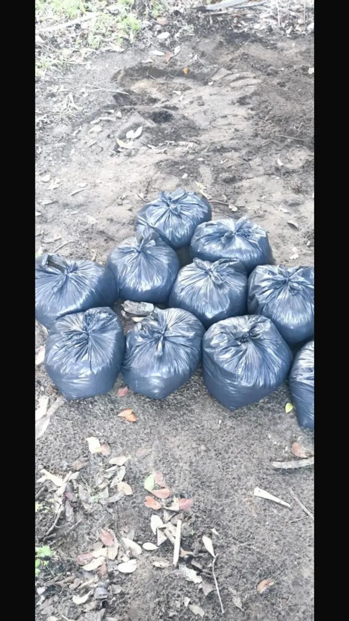 Terra preta  - Foto 4