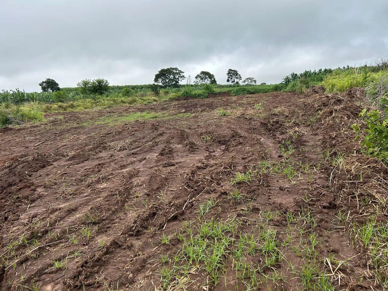 Foto - Anápolis - Adriana Parque