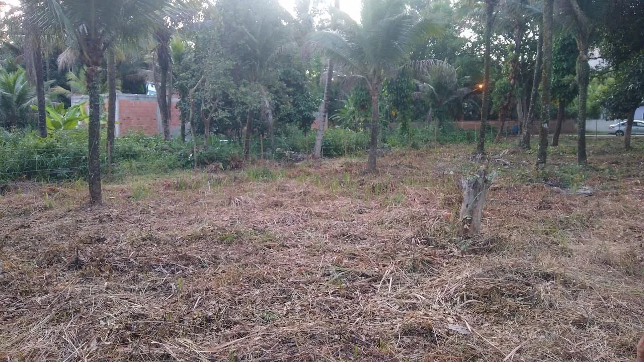 Foto - Casimiro de Abreu - 
