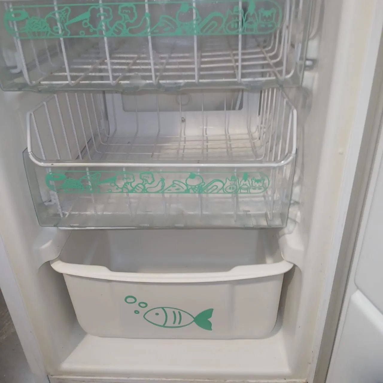 Freezer cônsul 
