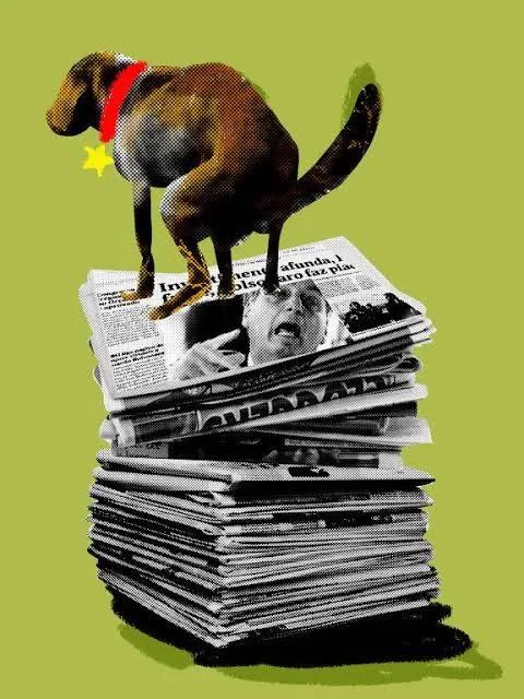 Jornal o Globo para pet - por quilo